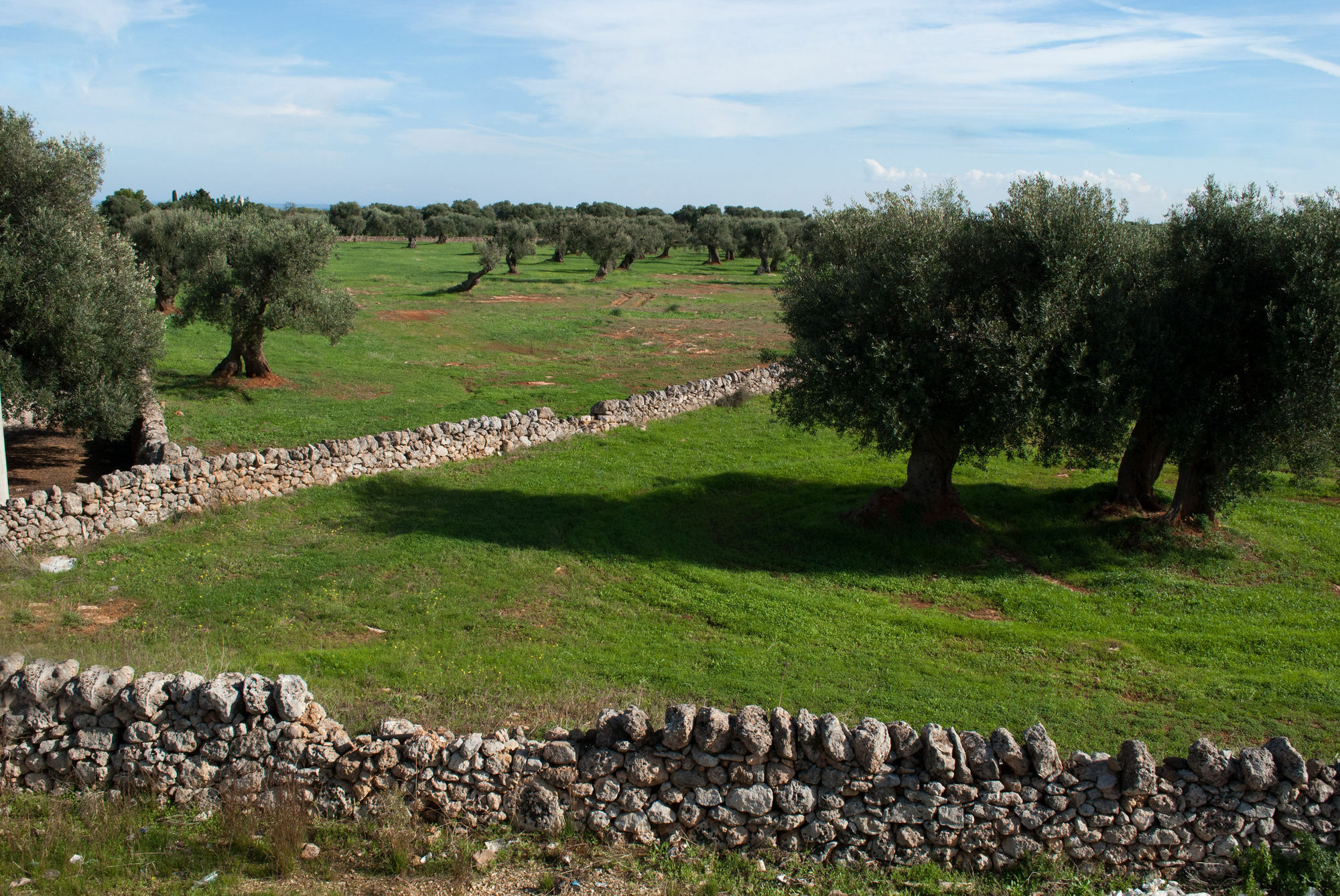 Masseria Lama D'Impisa Фазано Екстериор снимка